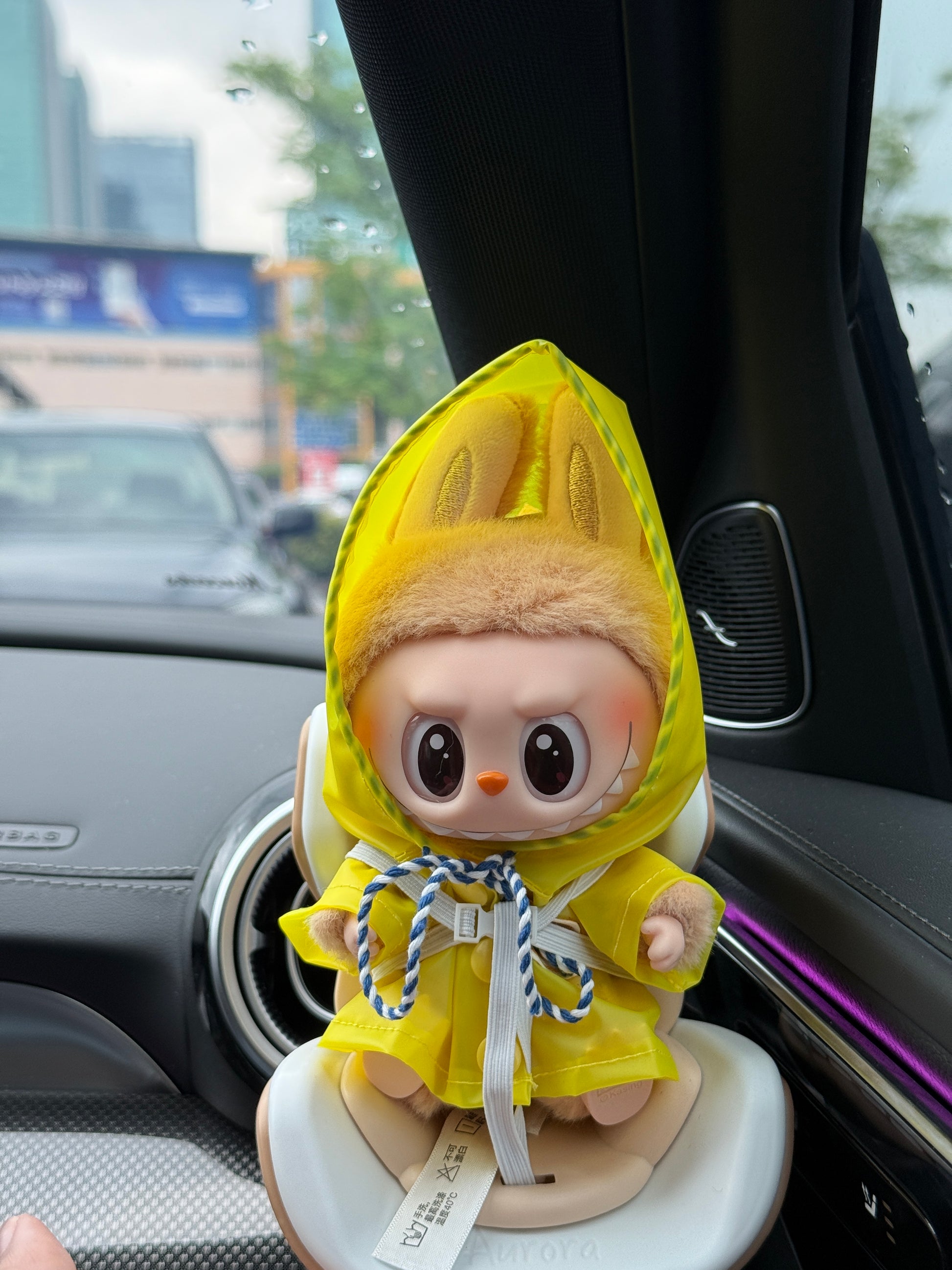 Rain Coat Labubu Outfit